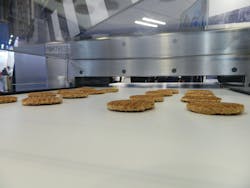 Image 1. With a second electromagnetic field, Fortress’ Interceptor DF, scans vertically and horizontally, proving reliable at detecting very thin flakes and foils Images courtesy of Fortress Technology Image 1. With a second electromagnetic field, Fortress’ Interceptor DF, scans vertically and horizontally, proving reliable at detecting very thin flakes and foils Images courtesy of Fortress Technology