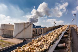 Sugar beet production. Sugar beet production.