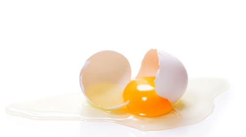 Eggs contain a complex mixture of white and yolk, each with different processing requirements
