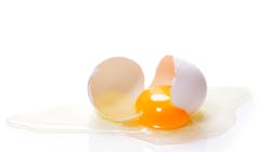 Eggs contain a complex mixture of white and yolk, each with different processing requirements Eggs contain a complex mixture of white and yolk, each with different processing requirements
