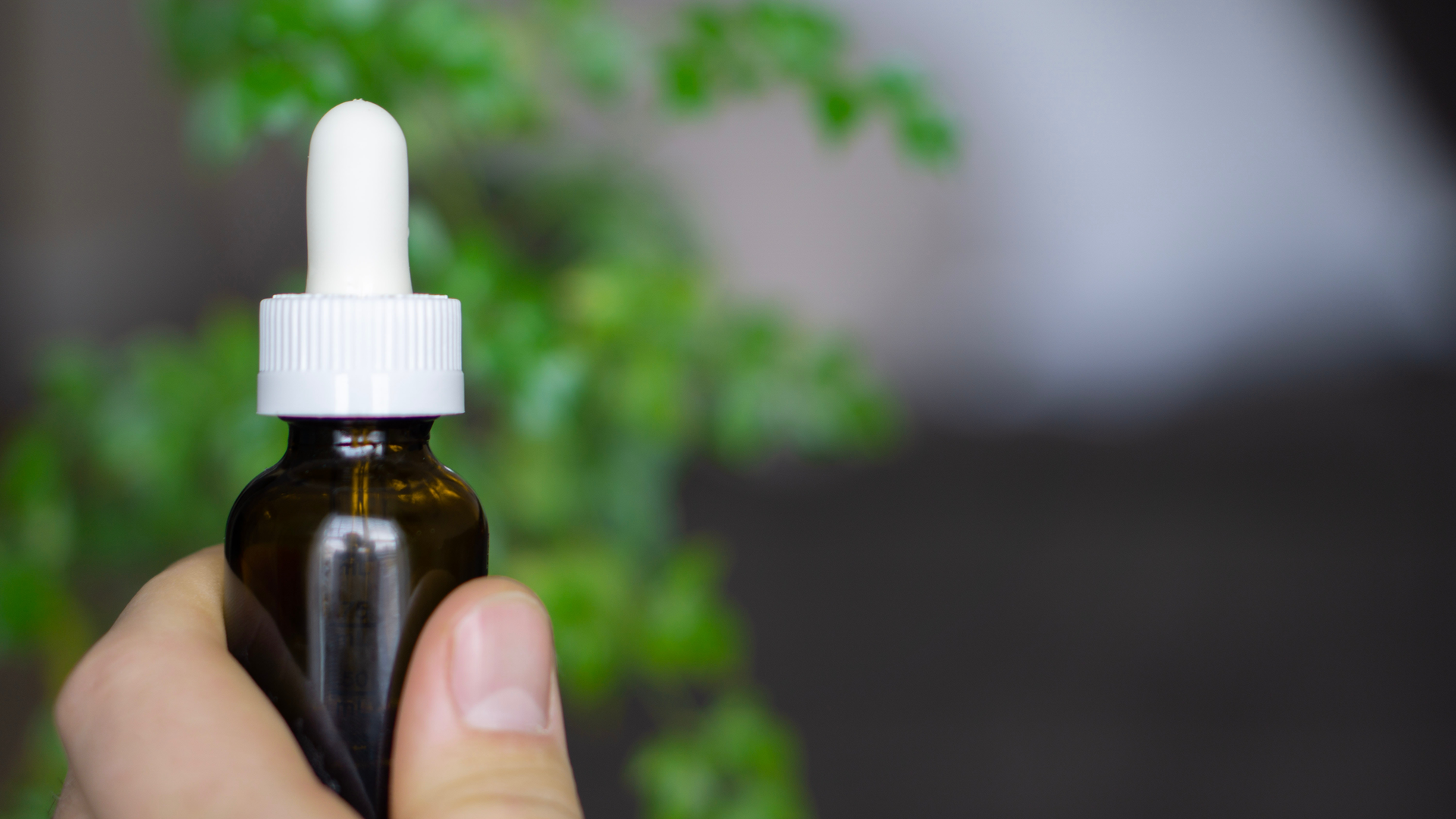 Pec Cannabis 2 5f9f3ec537b2f