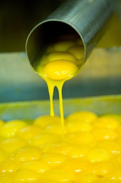 There can be many reasons to process liquid egg, including convenience and improved shelf life