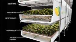 Stellar Article Image Stellar Article Image