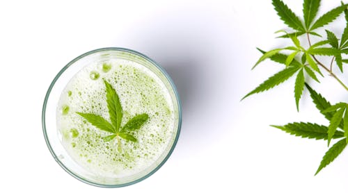 The global market for cannabis-based drinks is forecast to reach $5.8B by 2024.