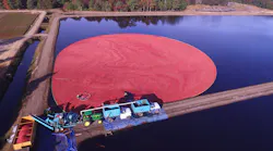 Cranberries ready for harvest at the Lee Brothers farm in Chatsworth, New Jersey, which has been a vital part of the economy for over 160 years.