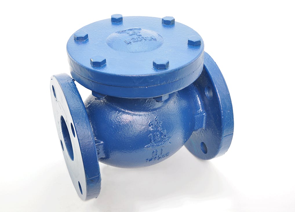 Swing check valve