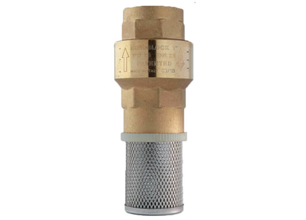 Foot check valve