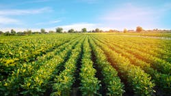 Farming practices, regional soil structures and natural crop cycles, although rare, can influence the nutrient content of fresh produce. Farming practices, regional soil structures and natural crop cycles, although rare, can influence the nutrient content of fresh produce.