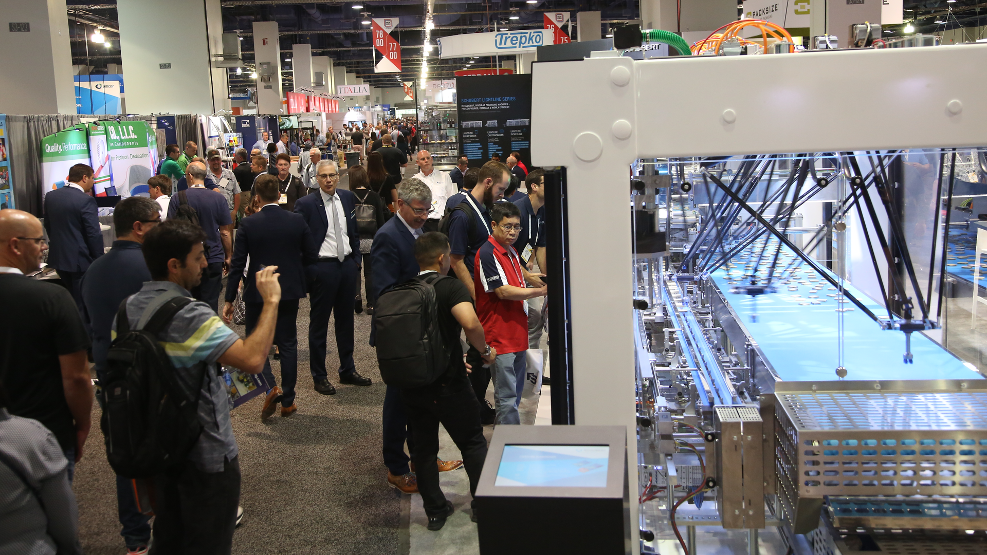 Pelv1 003 6148b9ac0e67e