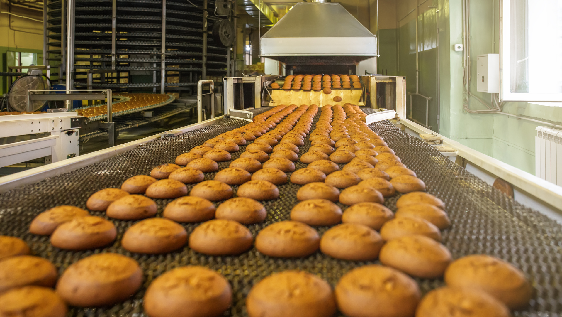 Dreamstime Xxl 118735448