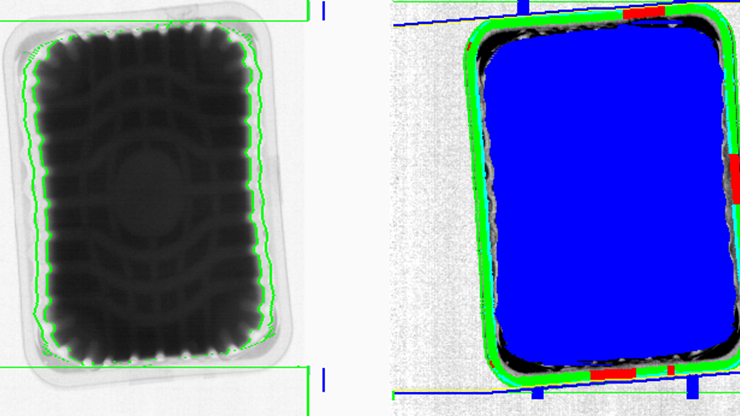 Seal faults being detected (shown in red).