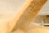 If not effectively controlled, airborne dust generated by common food handling processes can harm the health of workers and create a dust explosion hazard.