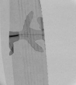 A leaf breaching the airtight seal. A leaf breaching the airtight seal.