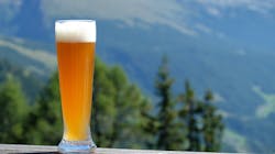 Beer Dreamstime M 234510692 62a8ebda1a4a3 Beer Dreamstime M 234510692 62a8ebda1a4a3