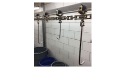 Made of stainless steel, the X248 with 2-inch pitch is one of the newer chains that replaces outdated cable conveyors. This example is on a head/tongue chain, shown in a beef plant application and is now virtually maintenance-free after replacing a high-maintenance cable conveyor.