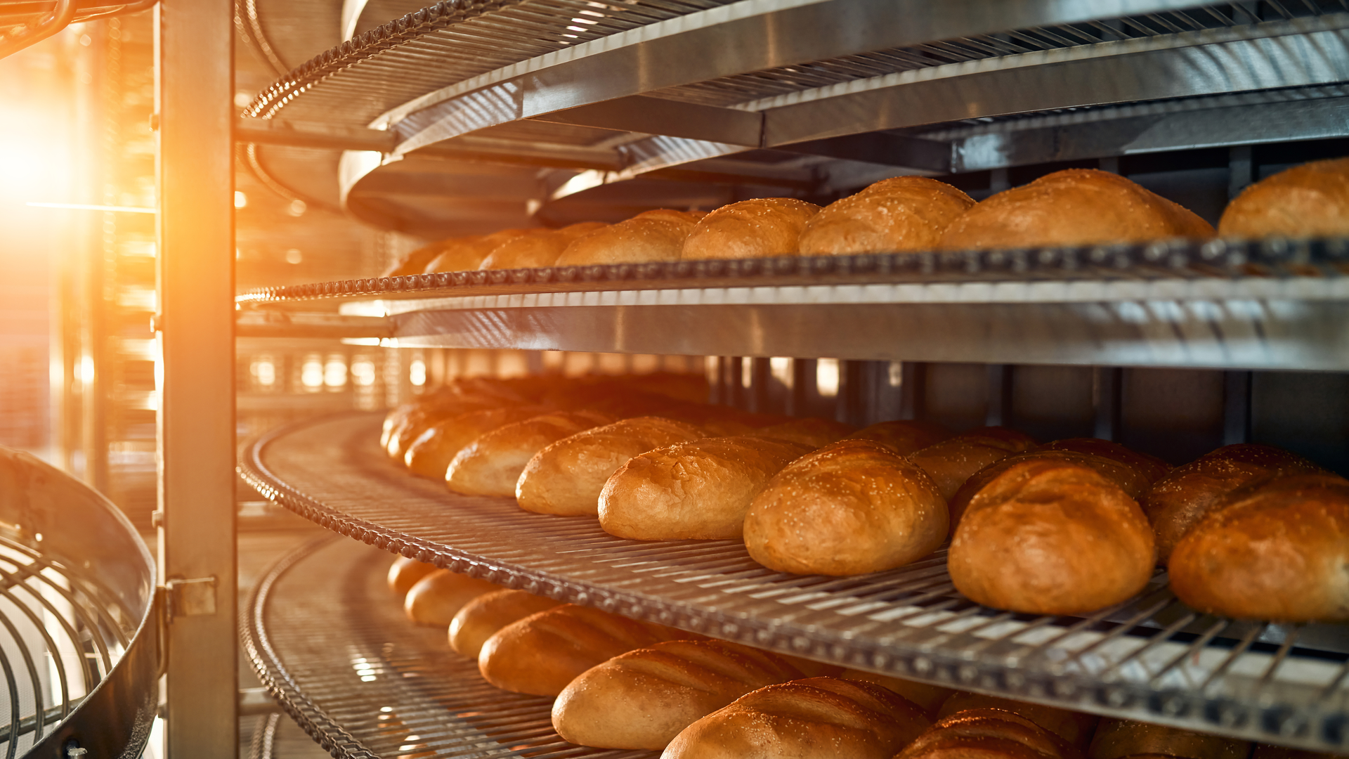 I Stock 1308281369 6372636a187a4