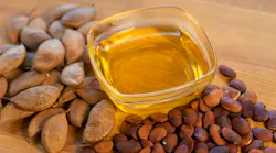 Ponova Oil From Pongamia Trees To Hit Market Mid 2023 As Terviva Teams Up With Koch Modular