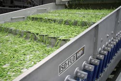 Key Iso-Flo vibratory conveyors spread green beans to present a sorter infeed belt with the proper speed and separation.