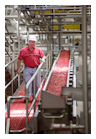 Vibratory conveyors move tacky, sweetened dried cranberries at an incline of almost 10 degrees.