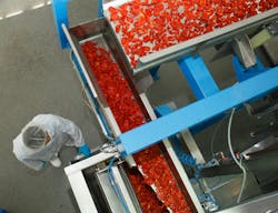 A series of Key Impulse electromagnetic conveyors transport crisps of dehydrated tomato and feed a weighing hopper. A series of Key Impulse electromagnetic conveyors transport crisps of dehydrated tomato and feed a weighing hopper.