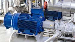 A pump used in the food processing industry. A pump used in the food processing industry.