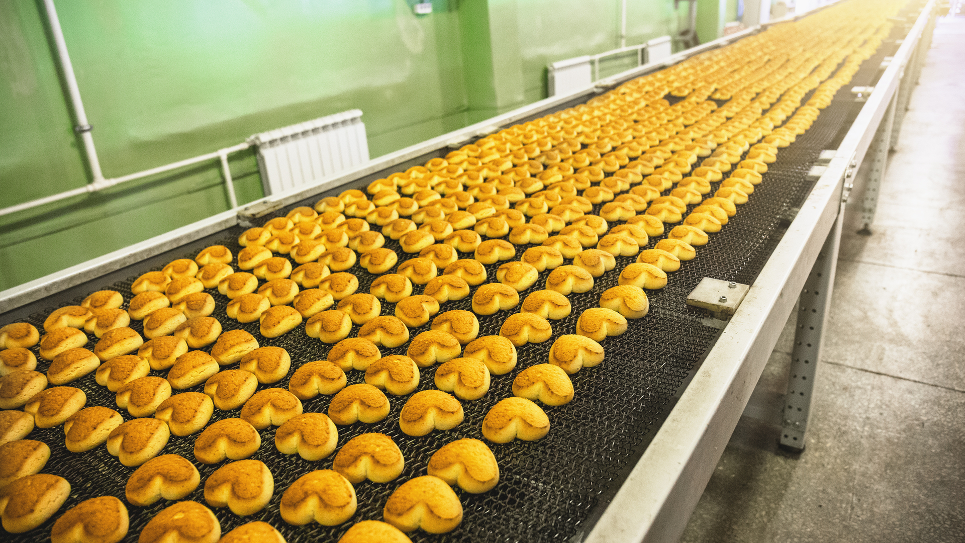 Dreamstime M 172032605 64ee2eaac8c14