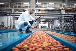 Adobe Stock 425475145 002 64fb33c0310f4 Adobe Stock 425475145 002 64fb33c0310f4