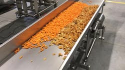 PFI PURmotion horizontal motion conveyors are commonly used in the snack processing industry.