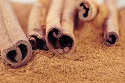 65e9efa3b9543e001f6e6163 Dreamstime Xxl 19138631 65e9efa3b9543e001f6e6163 Dreamstime Xxl 19138631