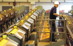 6669ea992bad4632340460ea Citrus2 6669ea992bad4632340460ea Citrus2