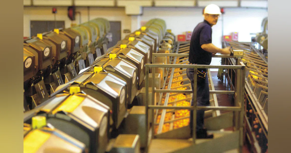 Tech and taste: 4 future movements for food processors | Processing ...