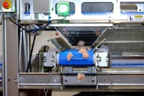 Poultry processors are turning to high speed, automated sorting systems that singulate, or separate, each piece of chicken so it can be scanned by advanced proprietary vision systems. Poultry processors are turning to high speed, automated sorting systems that singulate, or separate, each piece of chicken so it can be scanned by advanced proprietary vision systems.