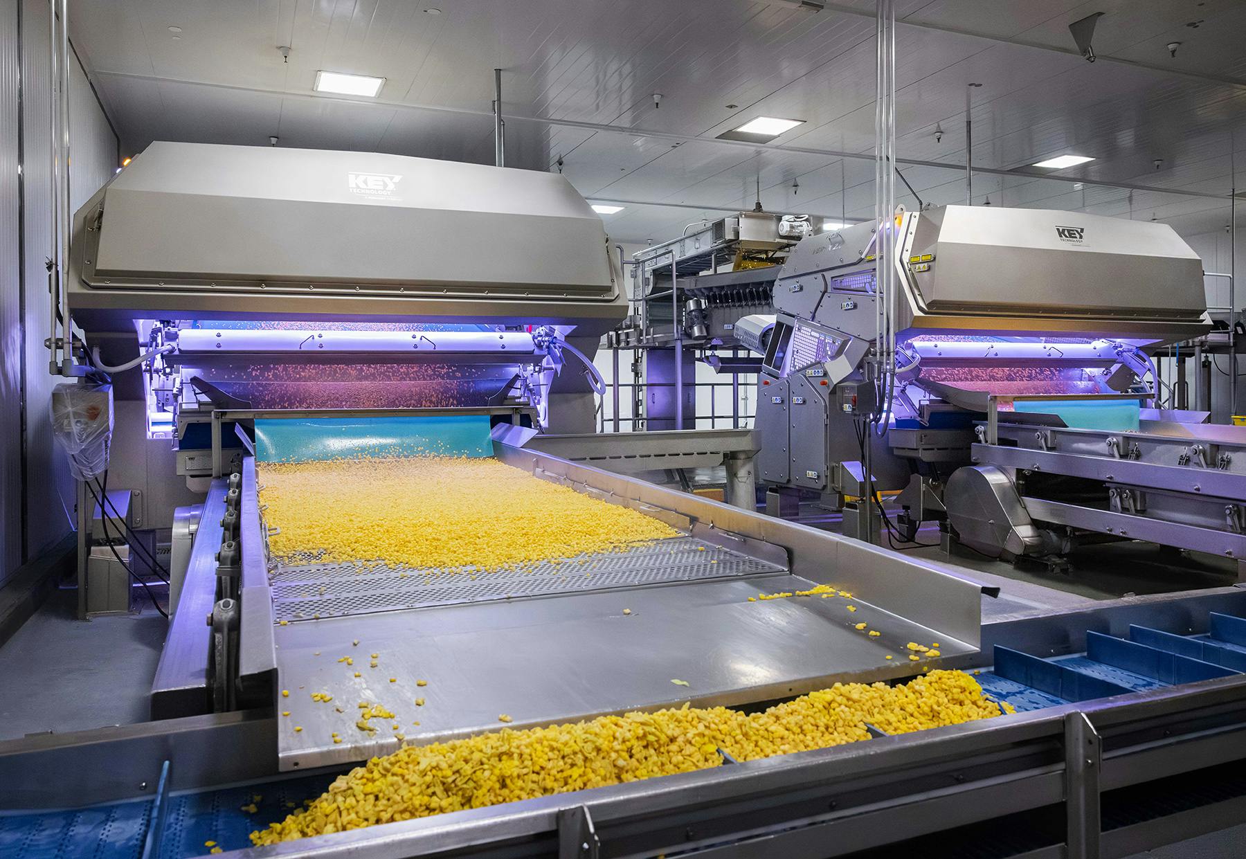 Key Technology VERYX optical sorters handling frozen corn at Twin City Foods.