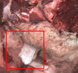 Detecting this white cotton glove from their beef trim line potentially saved this company a fortune had it made it into later processing stages. The AI inspection system separated the foreign object from the like-colored product and alerted the operator to remove it from the product stream. Detecting this white cotton glove from their beef trim line potentially saved this company a fortune had it made it into later processing stages. The AI inspection system separated the foreign object from the like-colored product and alerted the operator to remove it from the product stream.