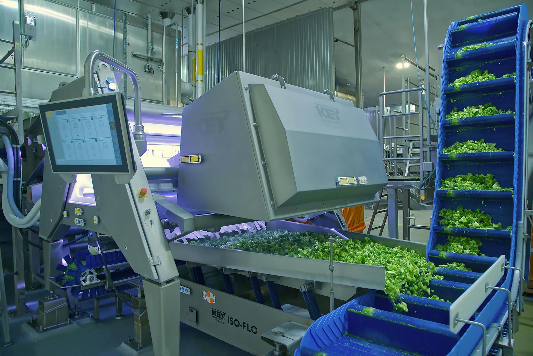 La Huerta's VERYX optical sorter for IQF vegetables.