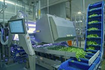 La Huerta's VERYX optical sorter for IQF vegetables. La Huerta's VERYX optical sorter for IQF vegetables.