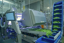 La Huerta's VERYX optical sorter for IQF vegetables. La Huerta's VERYX optical sorter for IQF vegetables.