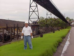Figure 4. Grass started growing again under the primary raw material supply belt after the dust and spillage had been eliminated. Figure 4. Grass started growing again under the primary raw material supply belt after the dust and spillage had been eliminated.