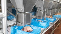 dreamstime_xxl_241890626 dreamstime_xxl_241890626