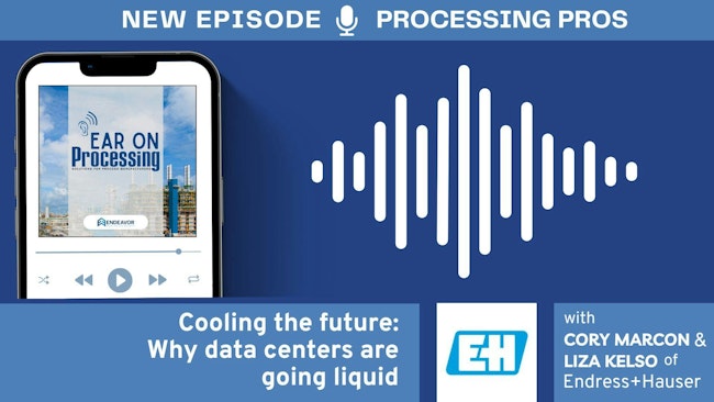 68e91decbd0f01185b36e78a Endress Static Image