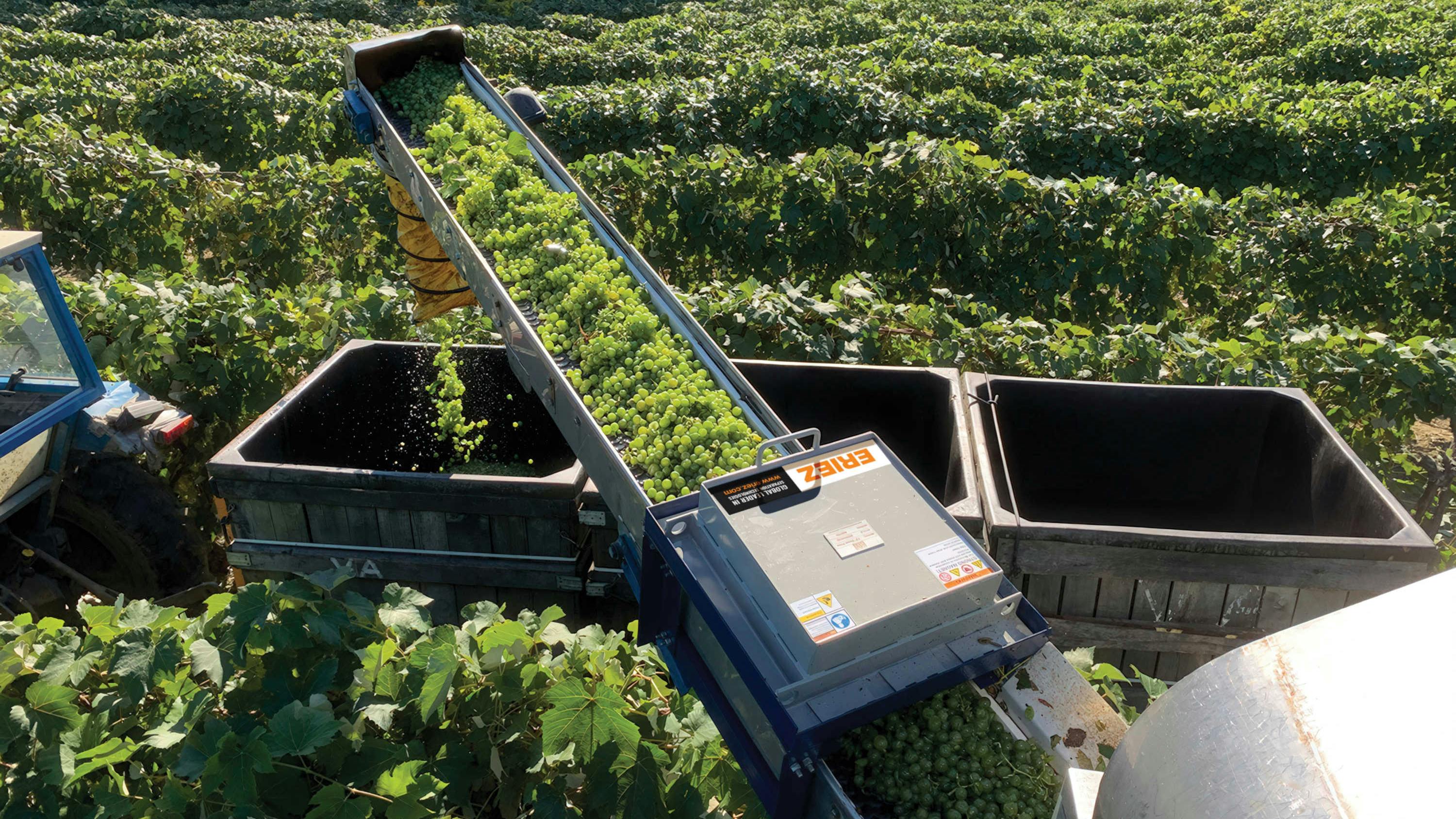 eriez_plates_vinewood_lrg