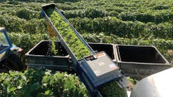 68fb9b65c8dafd83a1781e2e Eriez Plates Vinewood Lrg 68fb9b65c8dafd83a1781e2e Eriez Plates Vinewood Lrg