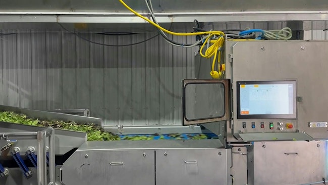 695c31763abc7178981c3b5b Keycompassleafygreens