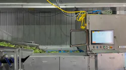 keycompassleafygreens keycompassleafygreens