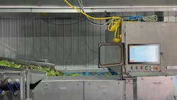 695c31763abc7178981c3b5b Keycompassleafygreens 695c31763abc7178981c3b5b Keycompassleafygreens