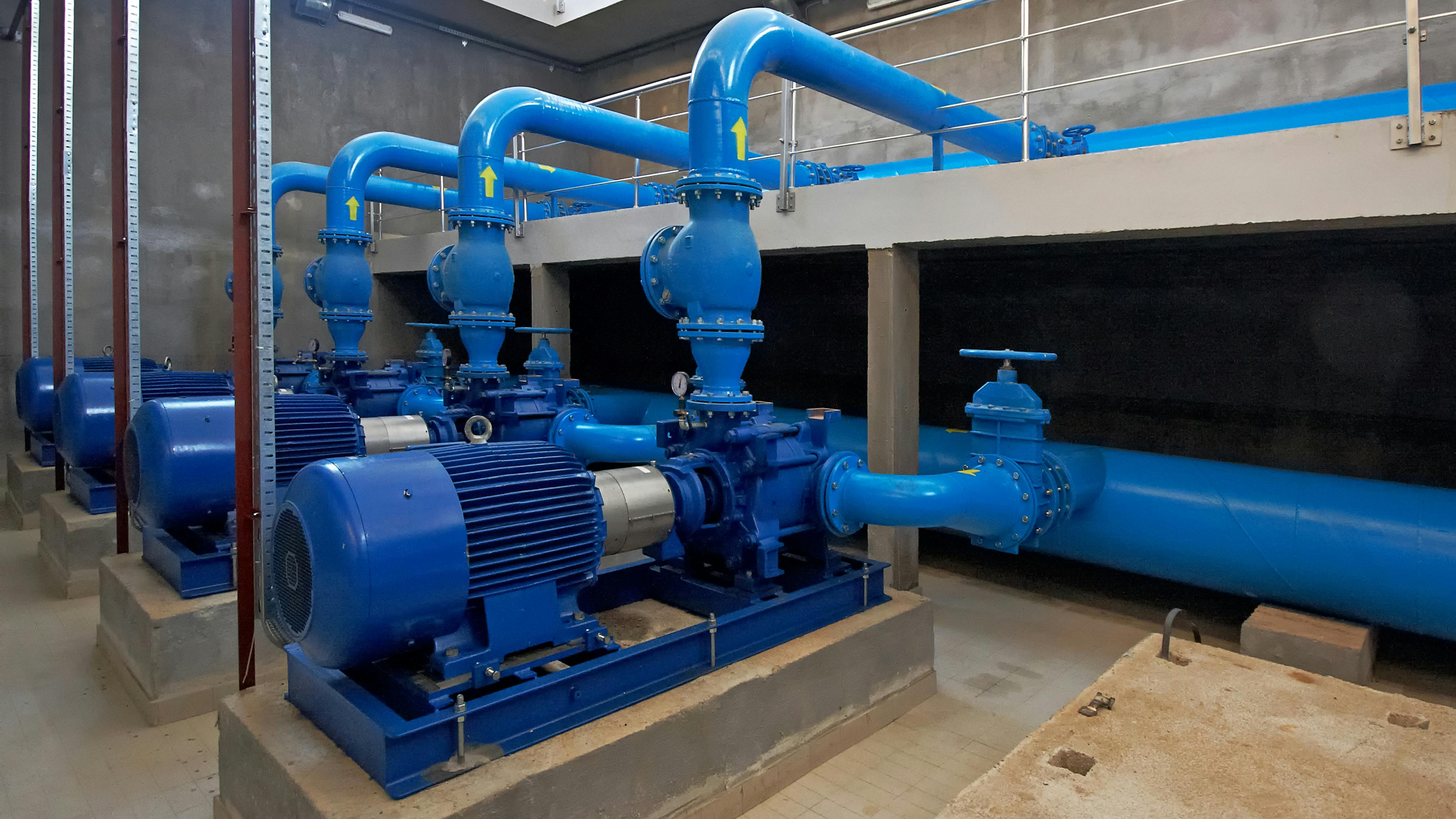 698b8d6e117e666593b92bc7 Dreamstime Xxl 30450830