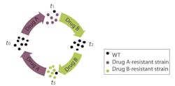 References: Imamovic, L. & Sommer, M.O.A. (2013) Use of collateral sensitivity networks to design drug cycling protocols that avoid resistance development. 5:204 Pal, C., Papp, B., & Lazar, V. (2015) Collateral sensitivity of antibiotic-resistant microbes. 23(7): 401-407 References: Imamovic, L. & Sommer, M.O.A. (2013) Use of collateral sensitivity networks to design drug cycling protocols that avoid resistance development. 5:204 Pal, C., Papp, B., & Lazar, V. (2015) Collateral sensitivity of antibiotic-resistant microbes. 23(7): 401-407