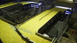 Bem Brasil's new potato strip processing line from Key Technology. Bem Brasil's new potato strip processing line from Key Technology.