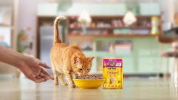 Cat eating Purina cat food Cat eating Purina cat food