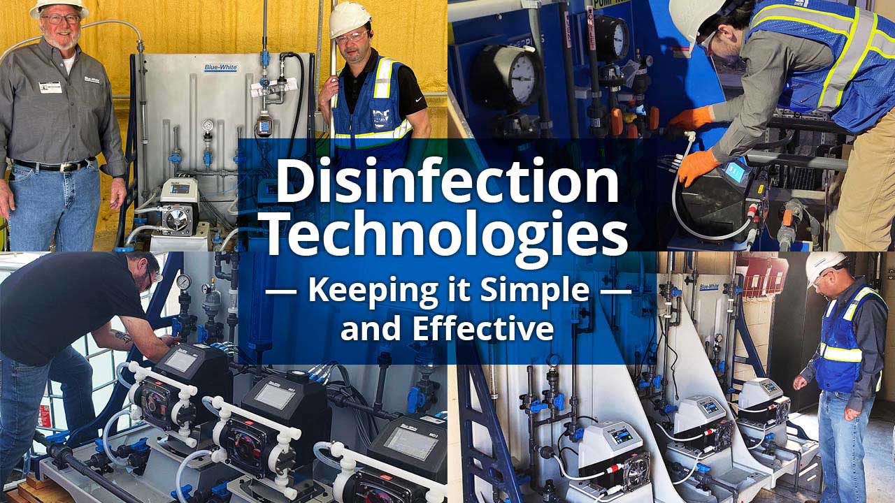 5683783071682728___primarybluewhite_1280x720_01